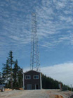 scthumb.jpg (11326 bytes)